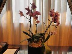 -紫荆广场·花漫里