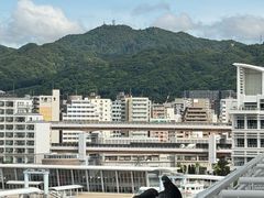 -神户美利坚公园东方大酒店