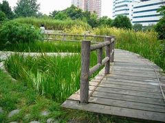 -成都市活水公园