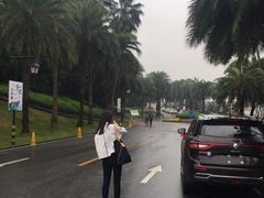 -圣爵菲斯大酒店(长沙世界之窗店)