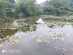 -白马涧龙池景区