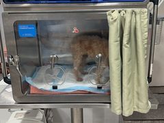 -四月宠物医院·猫专科·心脏专科·内科(转塘店)