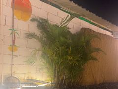 -DGE季风钓虾营地·团建·聚会