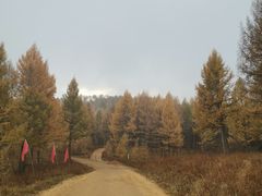 -塞罕坝国家级自然保护区