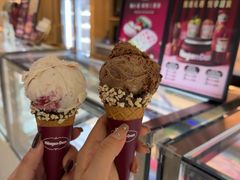 -哈根达斯(西安高新店)