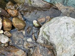 -庐山碧龙潭风景区