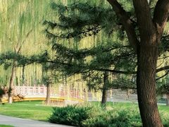 -元大都城垣遗址公园