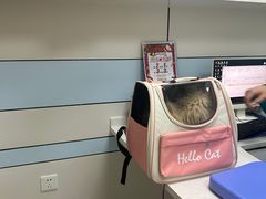 -中农国际动物医院24小时·猫科·骨科·急重症中心