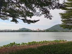 -顺峰山公园