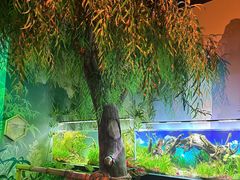 -沈阳海洋探索中心