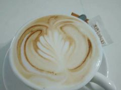 -喵的天空名猫咖啡馆·撸猫·猫舍·用品