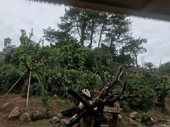 -宁波野生动物园