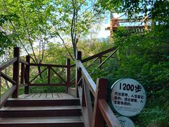 -大岭沟猕猴桃谷风景区
