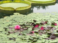 -国家植物园南园