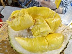 -都念榴莲·城市榴莲