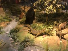 -陕西自然博物馆