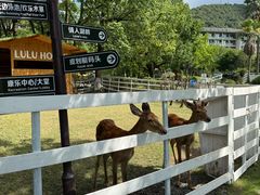 -宁波九龙湖开元度假村
