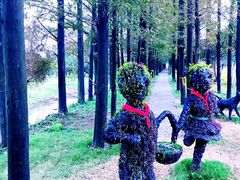 -上海长兴岛郊野公园