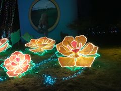 -枫林花海