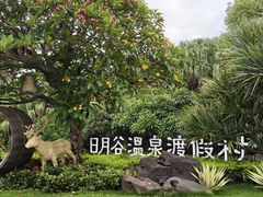 -厦门日月谷温泉渡假村