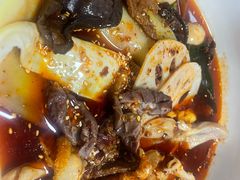 -舒记钵钵鸡