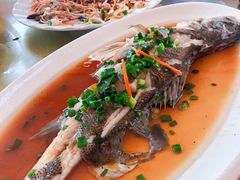 -江南村海鲜馆(洞头店)