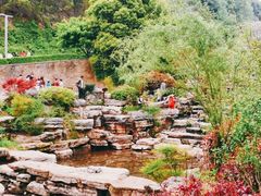 景点-桃花岭景区