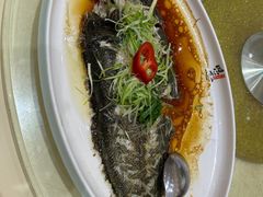 -联邦酒楼
