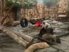 -泉州海丝野生动物世界