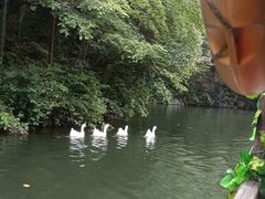 -周洛大峡谷