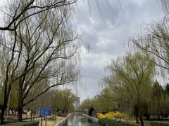 -元大都城垣遗址公园