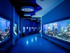 -石林冰雪海洋世界