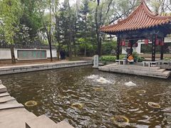 -沈阳植物园