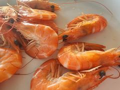 -七鲜渔港美食餐厅(巽寮湾海景店)