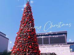 -上海崇明金茂凯悦酒店