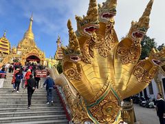 -品德宏·孔雀宴的发源地(金塔园店)