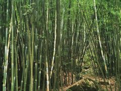 -四洞沟景区