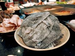 -肥龙火锅(南坪店)