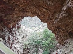 -大连天门山国家森林公园