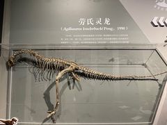 -自贡恐龙博物馆