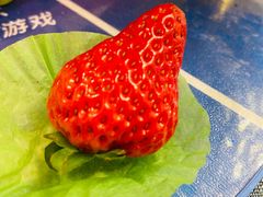 -盒马鲜生(莱蒙都会店)