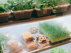 -鲜货俚鲜火锅(青果路店)