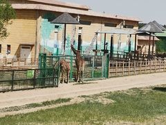 -鄂尔多斯野生动物园