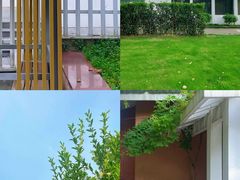 -苏州公园(双塔街道)