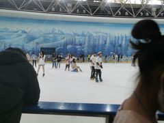 -世界之窗阿尔卑斯冰雪世界