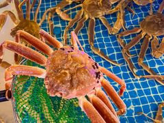 -驻海渔市(置信店)