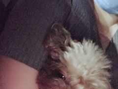 -北京佳信宠物医院