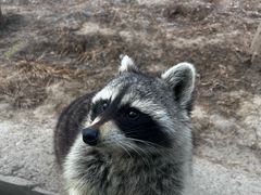 -石家庄市动物园