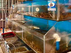 水产区-Sasa的海(蜈支洲岛后海店)