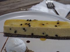 百香果黄柠檬挞-Vanilla Specialty Coffee(八大关店)